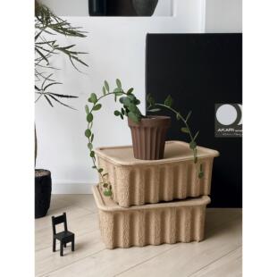 植物私生活 马达加斯加碧雷鼓小众奇趣圆叶多肉耐旱爬藤植物盆栽