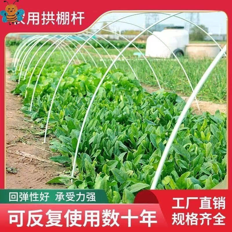 国标500根实心小拱棚支架玻璃纤维杆菜地菜棚保温棚花棚小棚拱杆