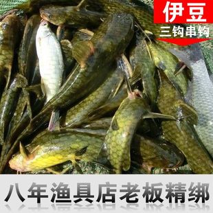 伊豆手工成品线组3钩串钩溪流远投海竿抛竿筏钓河流水库