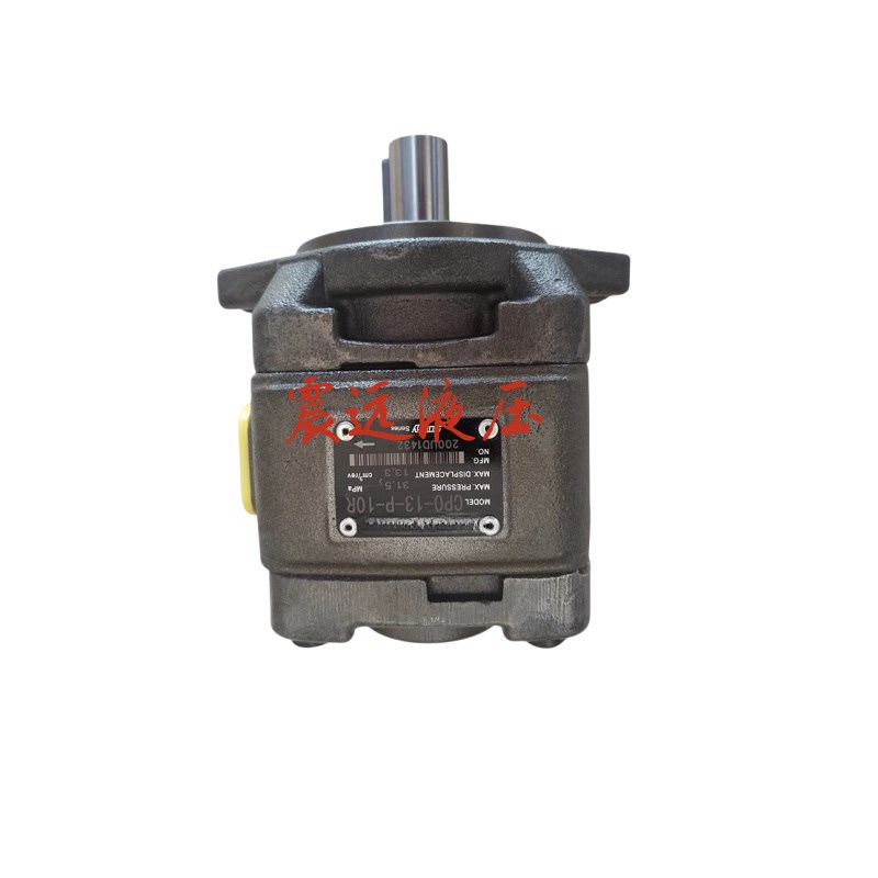 CP0-20-P-10R 伺服油泵 HG1-63/50/40/32/25/20/16/13/10-01R-VPC