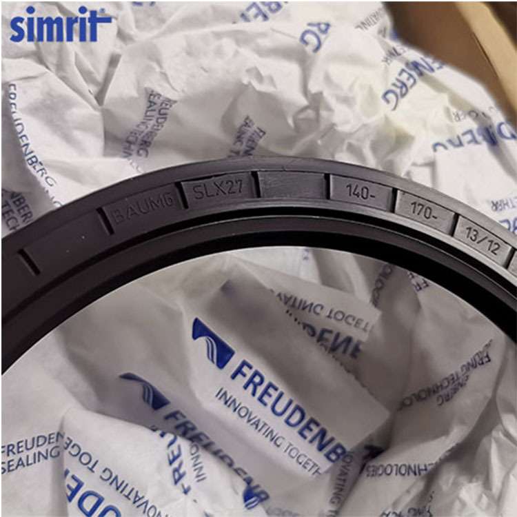 德国进口 CFW/Simrit 骨架油封 BASL 10*22*8 光刻机电机油封