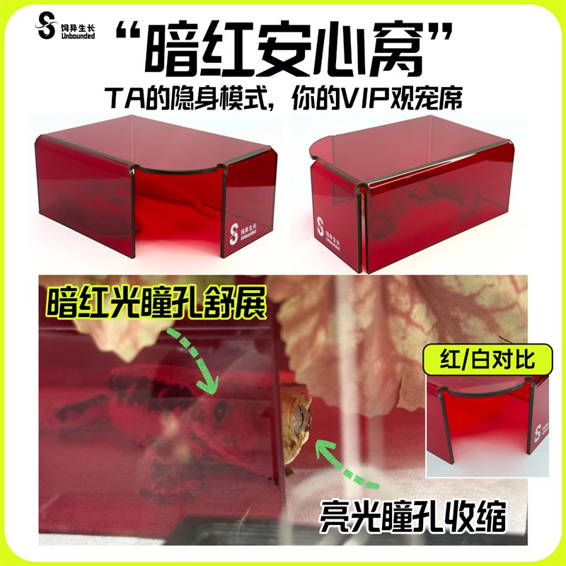 饲异生长爬宠可视躲避屋仓鼠金丝熊守宫豹纹睫角肥尾蛇躲避窝造景