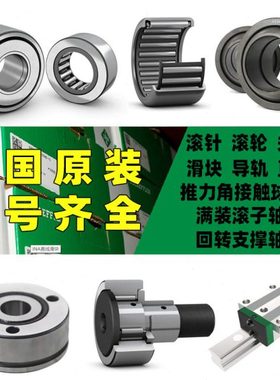 INA轴承RAE40-NPP-NR RAE12-NPP-FA-106 RAE15-XL-NPP-B RAE12-XL