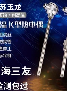 WRN130/230K型耐高温刚玉不锈钢热电偶PT100温度传感器探头高精度