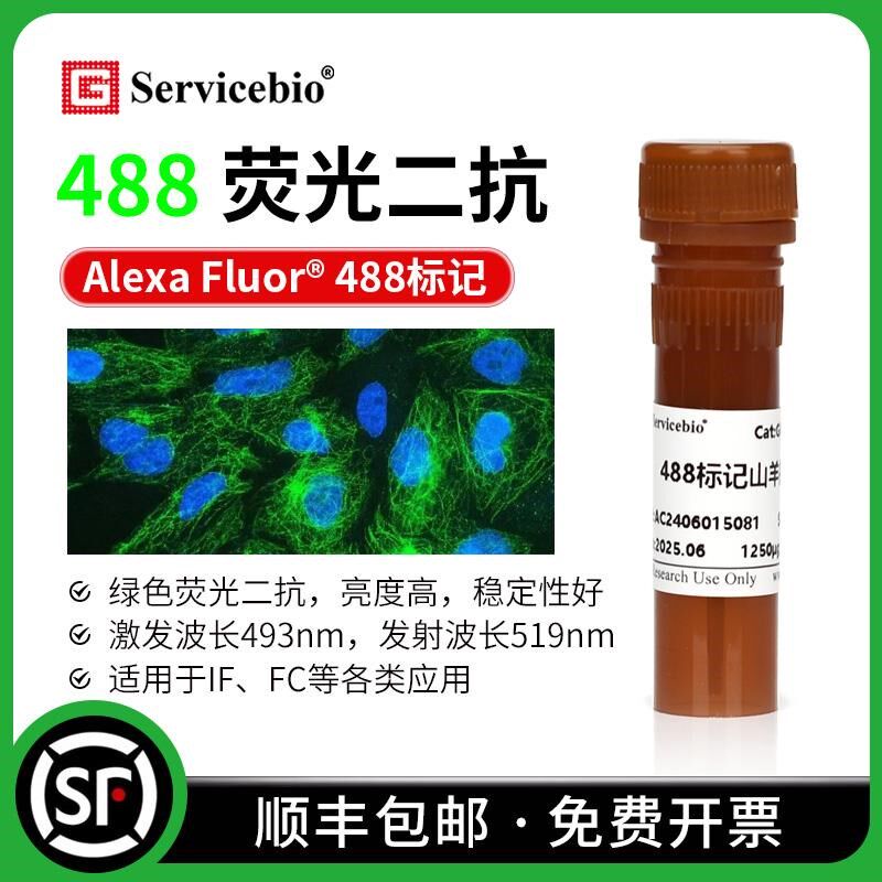 Alexa Fluor/iFluor488标记绿色荧光二抗山羊抗小鼠抗兔IgG(H+L)