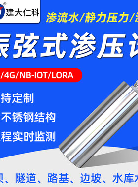 不锈钢振弦式渗压计 温度孔隙水位静力压力表渗流自动监测传感器