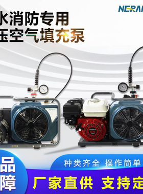 NERAN能元款高压潜水消防专用空压机100L呼吸高压空气填充泵