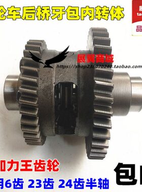 摩托三轮车后桥牙包差速器齿轮 加力王内转体6齿 23牙 24米键半轴