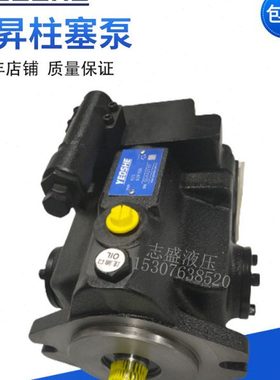 油泵变量柱塞泵V15/V18/V23/V38/V42-A1/A2/A3/A4-R10X