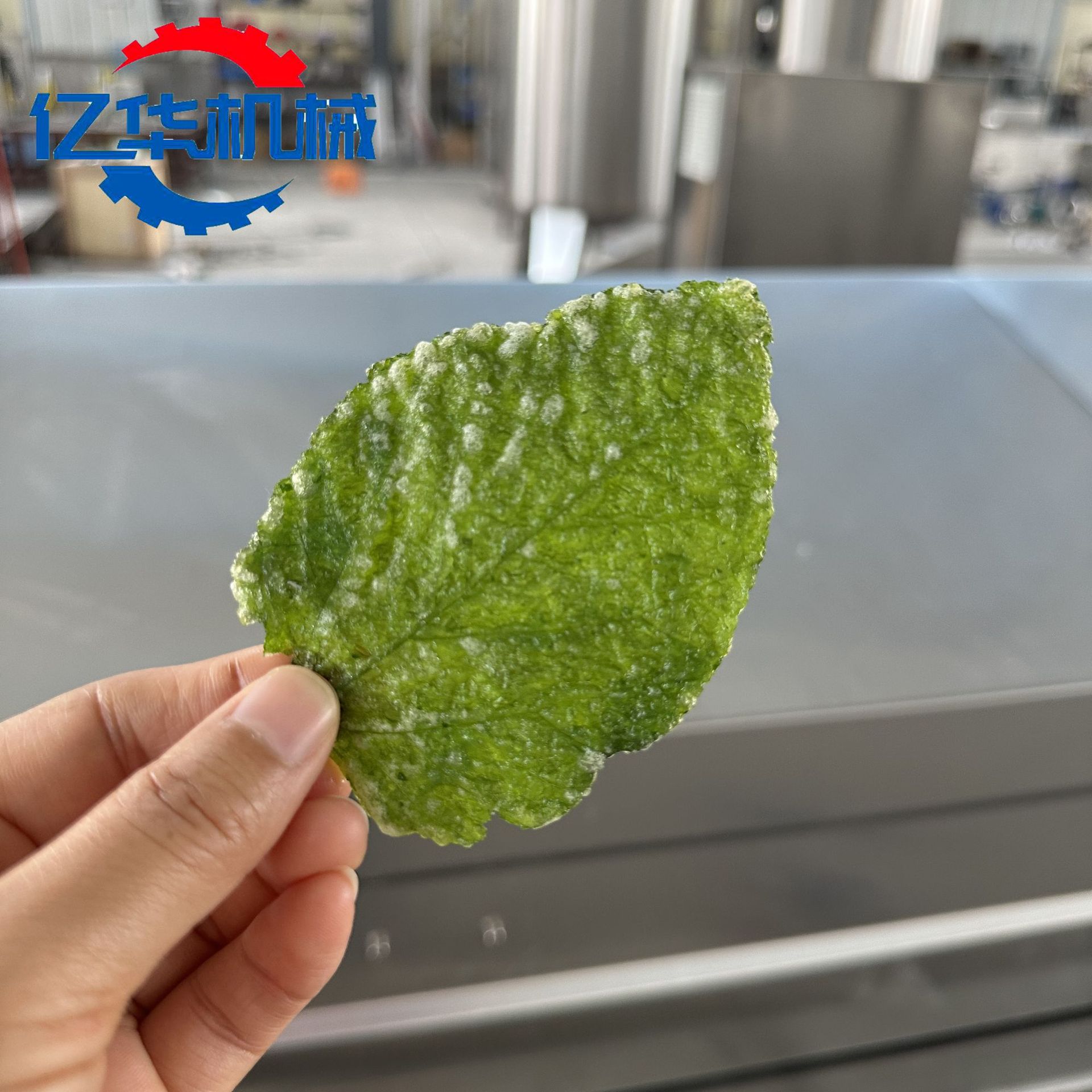 菩提南瓜油炸机 桑叶上浆油炸设备 香酥翠叶裹浆油炸生产线