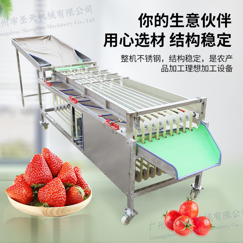 轨道分选机 李子葡萄橙子罗汉果小型分选机 不伤果快慢可调 厂家