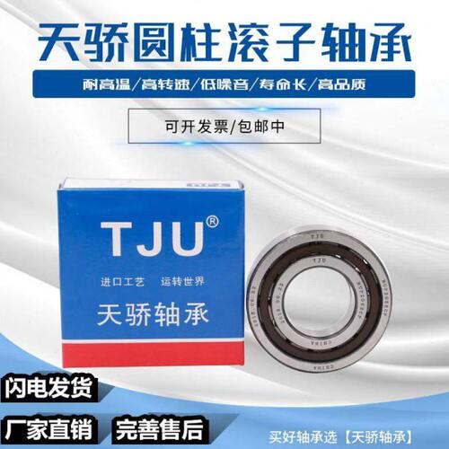 哈尔滨天骄轴承NJ304 NJ305 NJ306 NJ307 NJ308 NJ309EM替代进口