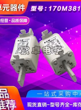 170M3812  170M3981 170M3982 170M3983 170M3984 170M3985保险丝