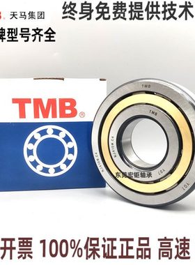 天马TMB圆柱高速轴承NJ/NU252 330 332 334 336 338 340 344EM/C3