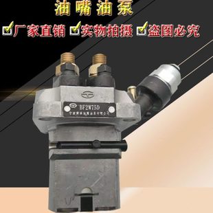 BF2M75 油嘴油泵 BFG2M75D BFG2K75 BFG2M75喷油泵 BF2M75D