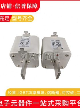 170M8538 170M8539 170M8540 170M8541/8542/8543/8544全新熔断器