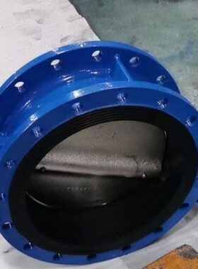 WD41X-10C DN250球墨铸铁软密封法兰涡轮蝶阀