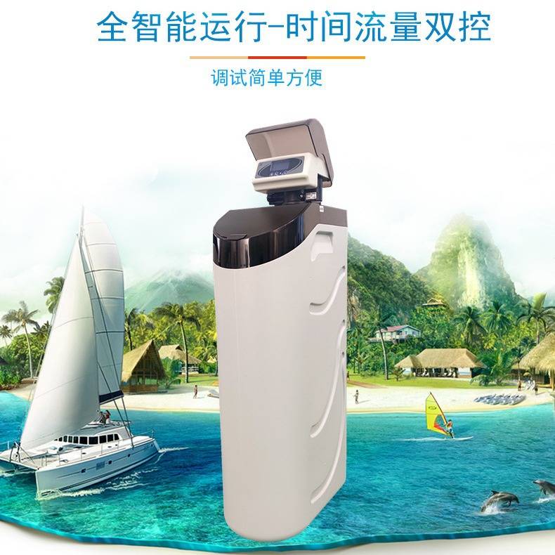 全自动软水机智能中央软水机家用全屋过滤商用软化水去除垢器设备