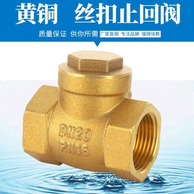 水表自来水管卧式铜止回阀管道单向阀4分6分1寸32水泵40.50止逆阀