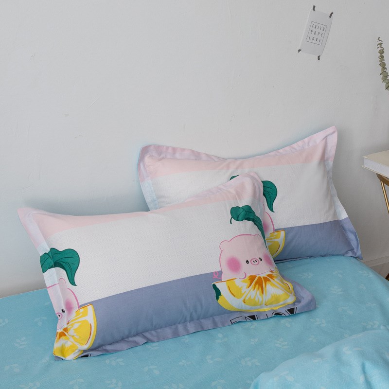 全棉纯棉秋冬印花枕套一只学生宿舍枕头I套家用枕芯套厂家代发