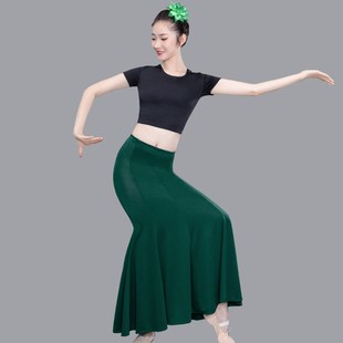 练功裙舞裙孔雀舞艺考服装 傣族舞表演d服傣族服装 女蹈演出服装