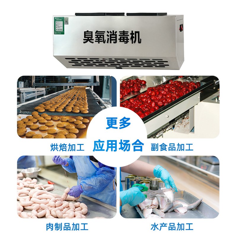 壁挂式臭氧消毒机食品厂车间空气杀菌垃圾房除味工业臭氧发生器