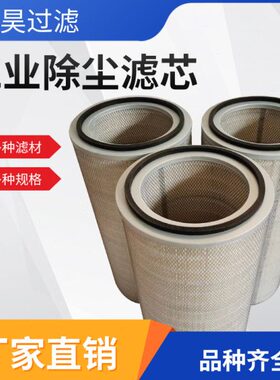 空气滤芯自洁式除尘滤芯工业除尘k3260k3266钢厂鼓风机粉尘过滤器