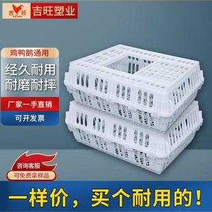 吉旺源头厂家鸡鸭运输笼塑料蛋鸡笼运输鸡笼家禽周转筐大号