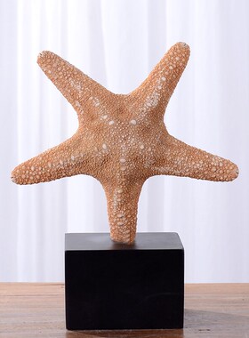 海洋风天然海螺摆件设计师酒店民宿家居软装饰品工艺品创意摆件