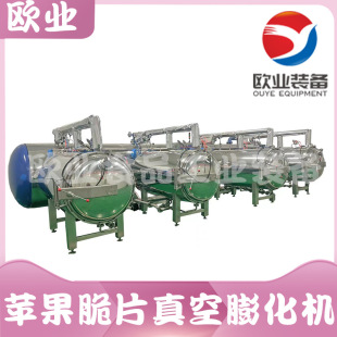苹果脆片低温真空膨化机 火龙果膨化流水线 脆柿子压差膨化设备