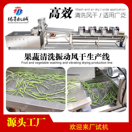 气泡清洗机 净菜加工生产线 果蔬加工设备 腾昇机械 清洗除水风干
