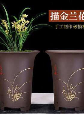 兰花盆兰花专用盆多肉花盆紫砂花盆绿萝花盆君子兰盆室内养花熊