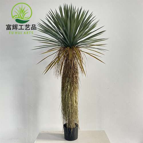 仿真绿植稻草人假植物盆栽蓝长序龙舌兰树室内外装饰丝兰树摆件