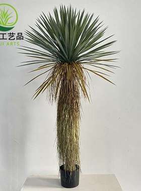 仿真绿植稻草人假植物盆栽蓝长序龙舌兰树室内外装饰丝兰树摆件