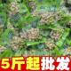 山椒花生泡椒花生独立小包装 解馋小零食卤水煮花生米开袋即食