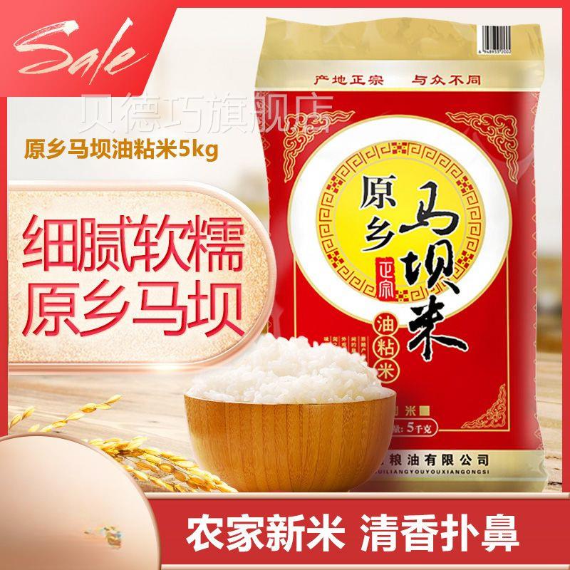 一一季马坝油农粘米广东特产家大米年5kgSDD粒香米1长0斤优质籼米