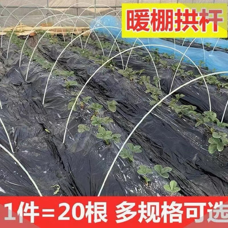 现货速发MOJY玻璃纤维杆20根小拱棚支架拱杆竿大棚内棚套棚骨架玻