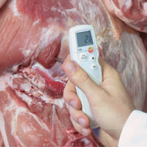 德国德图 testo 205 pH计肉类酸度仪 0563 2051 食品酸度仪