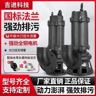 国标法兰污水泵380V工程用水大流量抽粪泥浆农用灌溉排污抽水泵