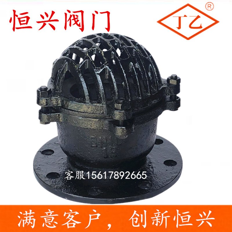 H42X-6法兰底阀 单向阀止回阀 铸铁水泵底阀DN50 80P 100 150 200