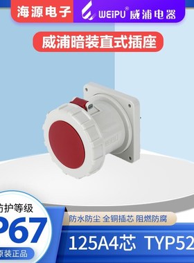威浦WEIPU125A4芯 防水工业暗装直式插座 TYP5219 3P+E 380V IP67