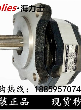 CB-FC10/12/16/18/20/25/32/40/50/63/80/100-FL FR-X齿轮油泵