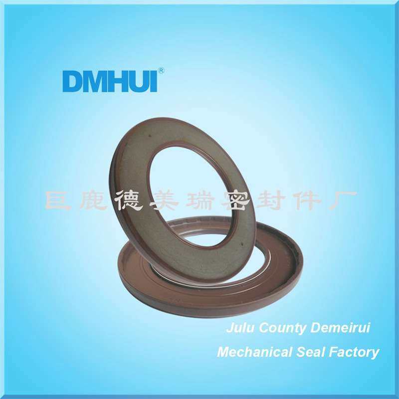 现货供应 巨鹿DMHUI 氟橡胶骨架油封 高压油封 30*48*6