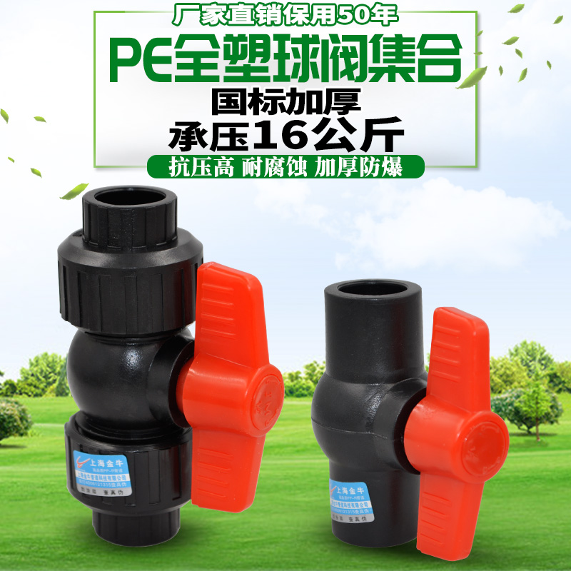 PE双活接全塑球阀阀门闸阀20 4分25 6分32自来水管管材管件配件