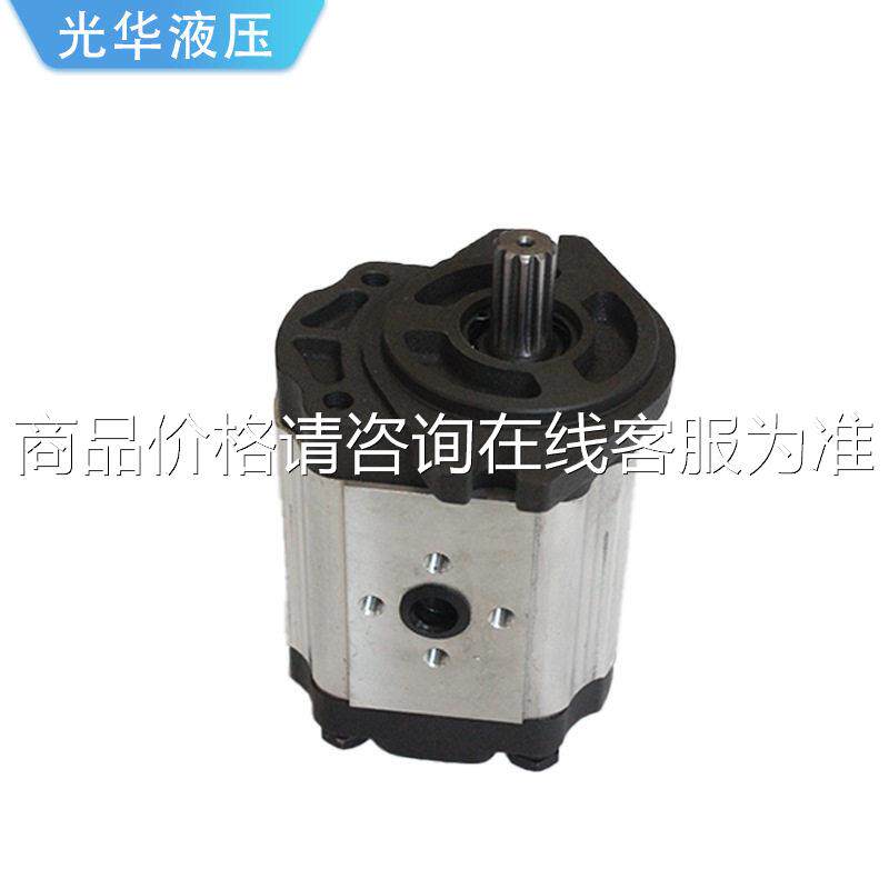 动力齿元油泵MAGA-102轮泵 举升机3微液压油泵CBN-G32型齿轮泵多