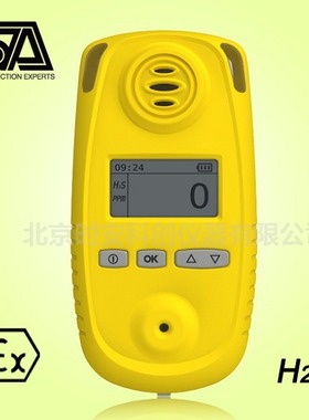 CLH100-Pro硫化氢气体检测仪 气体分析仪