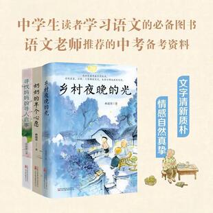 孙道荣系列3册:奶奶的半个心愿+寻找妈妈的寻人启事+乡村夜晚的光
