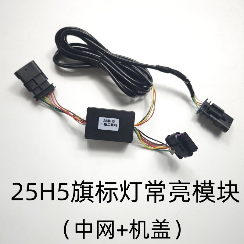 25款红旗H5旗标灯常亮模块解码器U灯流光灯五件套带遥控