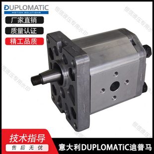 0013 L97F 0020 0034 20N齿轮泵 0027 意大利DUPLOMATIC迪普马GP1