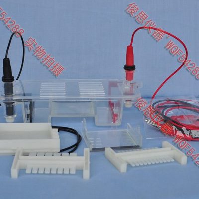 27022 水平电泳槽 高中生物仪器 全国便宜好用